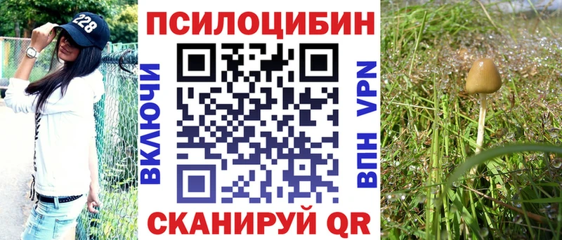 Галлюциногенные грибы Psilocybine cubensis  Купить где  Раменское 